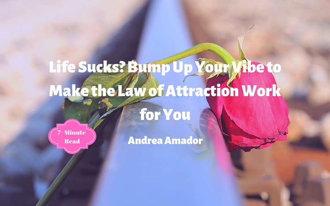 Life Sucks? Bump Up Your Vibe to Make the Law of Attraction Work for You