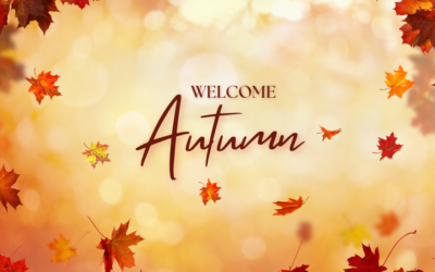 Save $$$ with Grants: How I Saved Over $45K Getting Government Grants